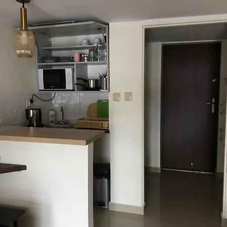 ロッジ Kaszubskie Nad Jeziorem *