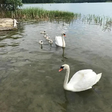 Kaszubskie Nad Jeziorem * オストシツェ