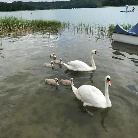 Kaszubskie Nad Jeziorem * オストシツェ