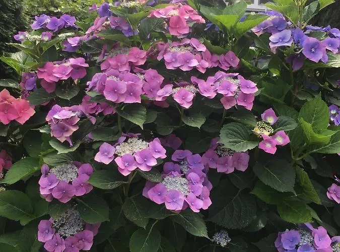 Kaszubskie Nad Jeziorem