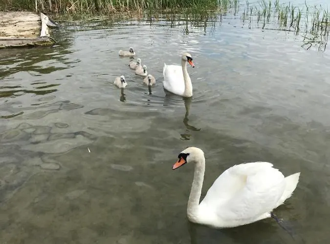 Kaszubskie Nad Jeziorem * أسترزيتش