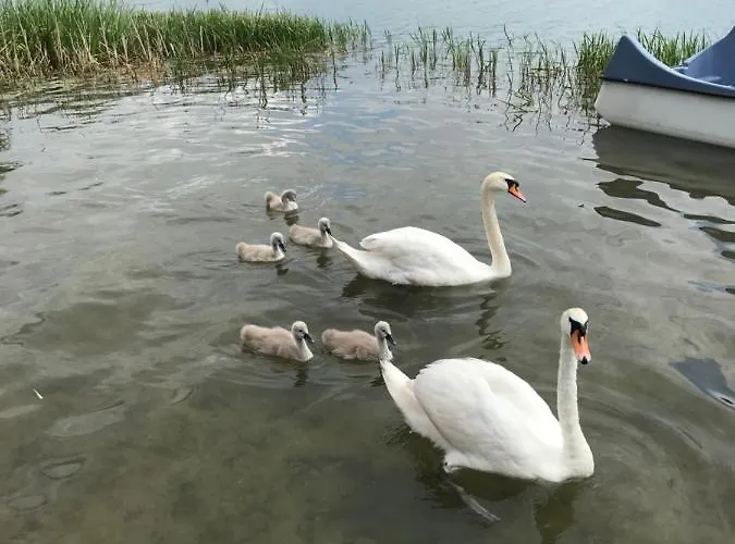 Kaszubskie Nad Jeziorem * أسترزيتش